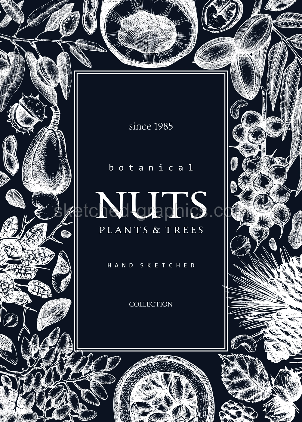Vector nuts frame on chalkboard. Vintage nuts background in sketched style. Healthy food ingredients design template with botanical illustrations. Realistic branches, plants, nutshells sketches. Illustration
